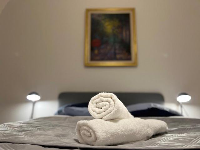 Cosy Rent-Strasbourg Gare 1-Wifi Daire Dış mekan fotoğraf